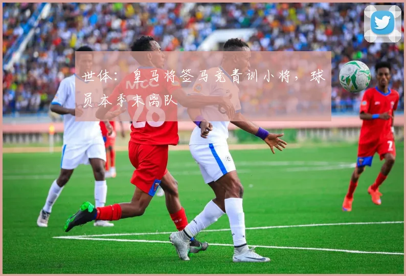 世体：皇马将签马竞青训小将，球员本季末离队