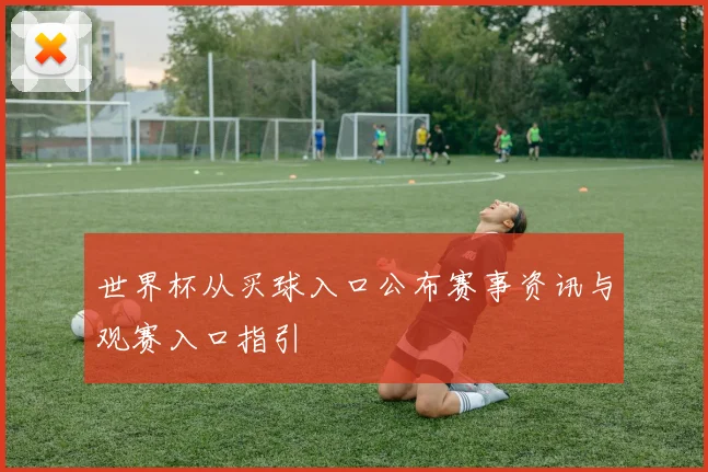 世界杯从买球入口公布赛事资讯与观赛入口指引
