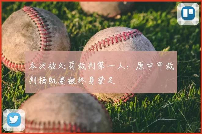 本次被处罚裁判第一人，原中甲裁判杨凯姿被终身禁足