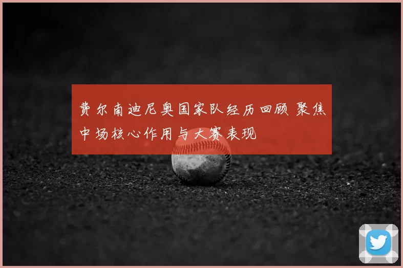 费尔南迪尼奥国家队经历回顾 聚焦中场核心作用与大赛表现