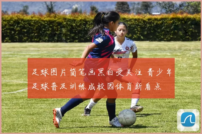 足球图片简笔画黑白受关注 青少年足球普及训练成校园体育新看点