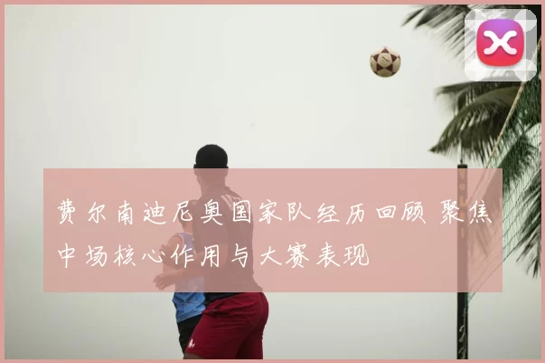 费尔南迪尼奥国家队经历回顾 聚焦中场核心作用与大赛表现