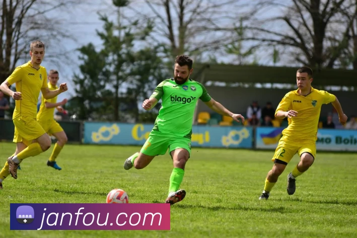 j9国际站官网入口平台生态图